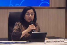 Sri Mulyani dan Dubes AS Negosiasi Tarif Dagang & Kerja Sama Strategis