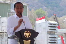 Pacu Pertumbuhan Ekonomi NTB, Jokowi Resmikan Smelter Tembaga AMNT