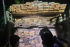 Kasus Dugaan Penyelundupan Kayu, Polres Belitung Buru Pemasok yang Kabur
