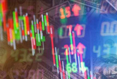 Investasi Saham AS vs Saham Indonesia: Mana yang Lebih Tangguh dalam 5 Tahun Terakhir?