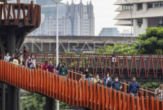 Indonesia Labor Institute: Insentif Pajak dan Keringanan Kredit Kunci Mengurangi PHK di Sektor Manufaktur