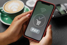 Cara Mengatur Penggunaan Pay Later untuk Pemula tanpa Risiko Finansial