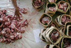 Tunaikan Ibadah Kurban Tanpa Perlu Mengorbankan Lingkungan