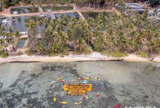 Menjaga Kesehatan Laut Indonesia: Tantangan, Indeks OHI, dan Solusi Berkelanjutan