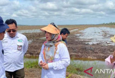 Kementan Dorong Pertanian Modern Melalui Pendampingan Sarjana dan Petani Muda