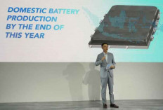 Wuling Berencana Produksi MAGIC Battery untuk Kendaraan Listrik di Indonesia