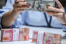 Paket Stimulus Pemerintah Dorong Stabilitas Rupiah dan Pemulihan Ekonomi