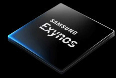 Bahaya Mengintai Pengguna Samsung Galaxy Chipset Exynos, Segera Lakukan Ini!