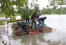 Ponton Timah Hajar Aset Pemda Belitung, Oknum Aparat Diduga Terlibat