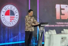 Ekonomi Indonesia Dipastikan Kuat, Pemerintah Ajak Investor AS Tanam Modal