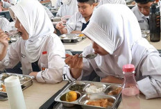 Makan Bergizi Gratis Tetap Jalan Meski Libur, BGN Paparkan Skemanya