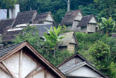 Kemendikbudristek Luncurkan Program Muda Berdaya untuk Ketahanan Pangan