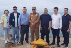Teripang Belitung Tertahan, Tapi Lolos di Jakarta, Standar Karantina Bandara Disorot