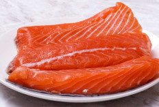 Kenapa Harga Ikan Salmon Bisa Mahal? Simak Alasan Di Baliknya!