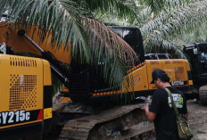 Satgas PKH Gerebek Persembunyian Alat Berat, 9 Ekskavator Tambang Ilegal Diamankan