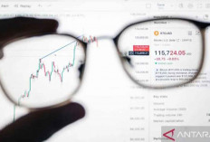 DJP Akan Tunjuk Exchanger Kripto Luar Negeri untuk Pungut PPh 22 