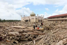 Kemenhut Izinkan Pemanfaatan Kayu Hanyut Pascabencana di Sumatera