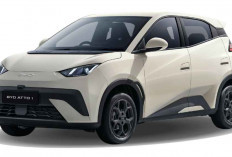 7 Mobil Listrik Paling Laris di Indonesia 2025, BYD Kuasai Pasar