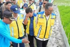 Menteri PU: Penerapan Irigasi Padi Hemat Air Akan Direncanakan di Seluruh Indonesia