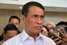 Pemerintah Targetkan Cetak Sawah 400 Ribu Hektar di 2026, Alokasi Anggaran 10 Triliun