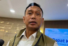 Indonesia Capai Swasembada, Bulog Siapkan 1 Juta Ton Beras Premium untuk Ekspor