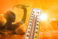 Dampak Musim Kemarau, 6 Tips Menghadapi Suhu Panas Ekstrem Dari BPBD Babel