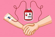 8 Manfaat Kesehatan dari Donor Darah: Dari Jantung Sehat hingga Pencegahan Kanker