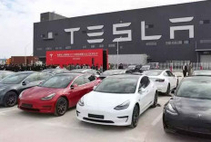 Pengiriman Tesla Turun 16 Persen di Kuartal IV 2025, Model 3 dan Y Jadi Andalan