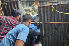 Sertu Hendri Kabur Usai Gagal Negosiasi dengan Dandim Belitung, Informasi Terkini Masuk Hutan