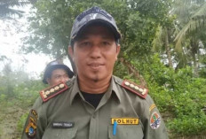 Kasus Tipikor Perambahan Hutan: Para Pejabat Dishut Babel Diperiksa Penyidik Kejati