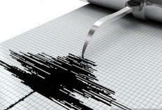 Gempa Magnitudo 4,4 Guncang California, Ini Dampaknya!