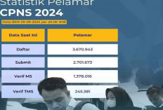 BKN Umumkan Data Terbaru Pelamar CPNS 2024: DKI Jakarta Paling Diminati, Gorontalo Paling Sedikit