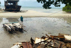 Alasan Dishub Belitung Lakukan Penutuhan Kapal, Sudah Koordinasi dengan PELNI