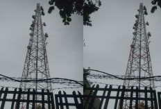 Kontrak Tower Telkomsel 40 Tahun di Selat Nasik Disorot, BPD Minta Transparansi Dana Sewa