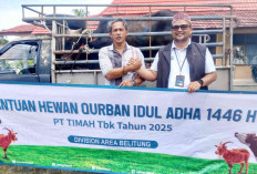 Pokja Wartawan Belitung Terima Hewan Kurban PT Timah Tbk