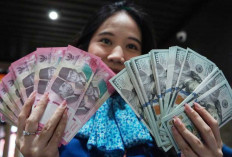Memperkuat Policy Anchor Stabilitas Rupiah di Tengah Tekanan Global