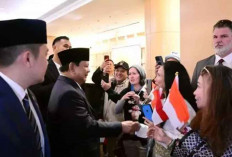 Presiden Prabowo Hubungi Donald Trump untuk Ucapkan Selamat atas Kemenangan Pemilu