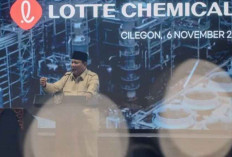 Prabowo Pastikan Indonesia Jadi Negara Ramah Investasi Bagi Investor Global