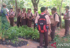 Masa Depan Kurikulum Merdeka Pasca Pergantian Kabinet