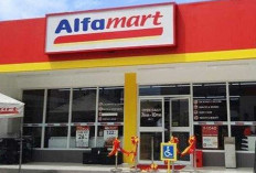 Mau Punya Alfamart Sendiri di 2026? Ini Modal, Royalti, dan Syarat Lengkapnya