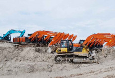 Teka-teki Kasus Lubuk Besar: 64 Alat Berat Disita, Mengapa Ahok Cs Masih Berstatus Saksi?