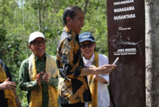 Presiden Jokowi Resmikan Hutan Wanagama Nusantara sebagai Pusat Pendidikan dan Penelitian di IKN