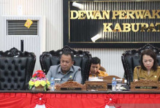 Belitung Target Peremajakan 150 Hektar Kebun Sawit Rakyat di 2025