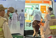 BPJS Kesehatan Ingatkan Calon Jamaah Haji Pastikan JKN Aktif Sebelum Berangkat