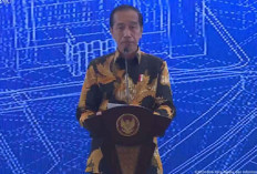 Soal Luhut Beri Pesan Agar Prabowo Jangan Bawa Orang Toxic, Ini Tanggapan Jokowi