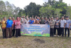 Program SOLUSI Libatkan Pemda Beltim Rehabilitasi Lahan Kritis, Tanam 16 Jenis Rempah Lokal 