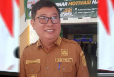 Bupati Bakal Rutin Tinjau Dapur MBG di Beltim, Pastikan Makanan Anak Aman Dikonsumsi