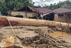 Maut Datang Usai Nekat Telanjangi Bukit Tapanuli