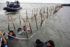 Mahfud MD Soroti Dugaan Korupsi dan Kolusi dalam Kasus Pagar Laut Tangerang