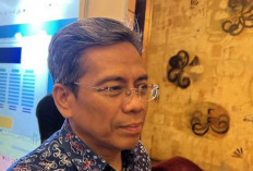 Investor Mobil Listrik Diminta Bangun Pabrik Berbasis Baterai Nikel di Indonesia